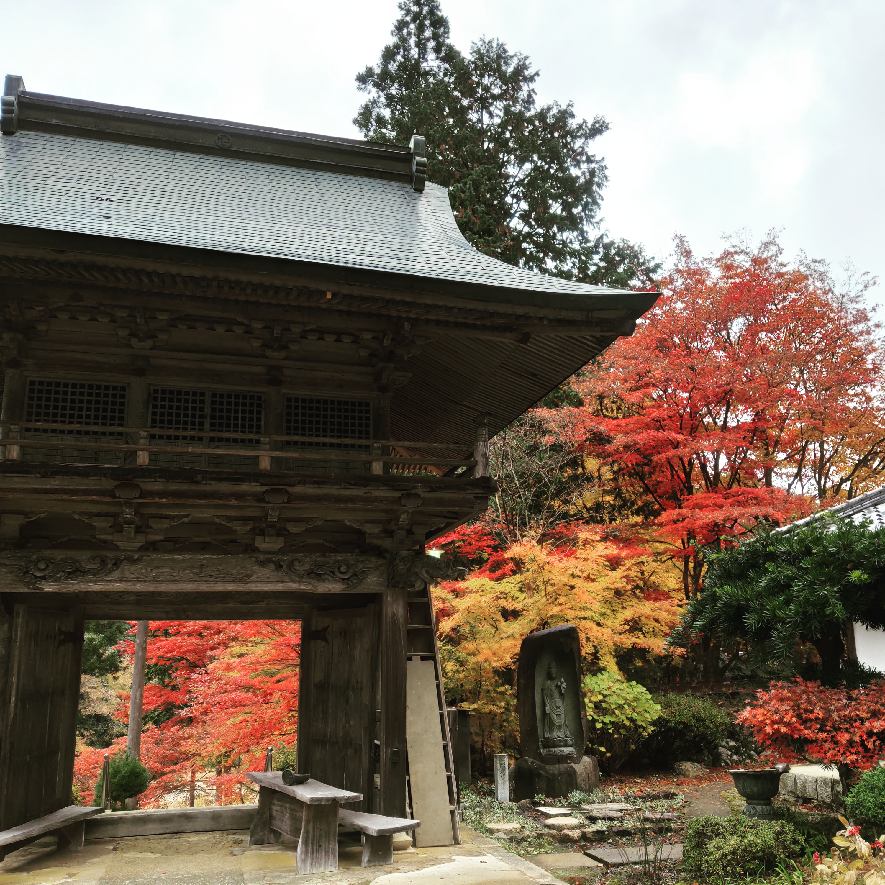 京都の玉雲寺のきれいな紅葉