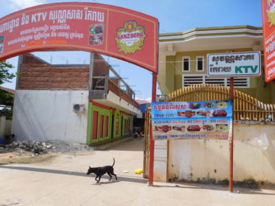 カンボジアのカンポットのKTVと番犬