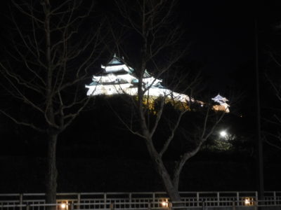 和歌山城のライトアップ