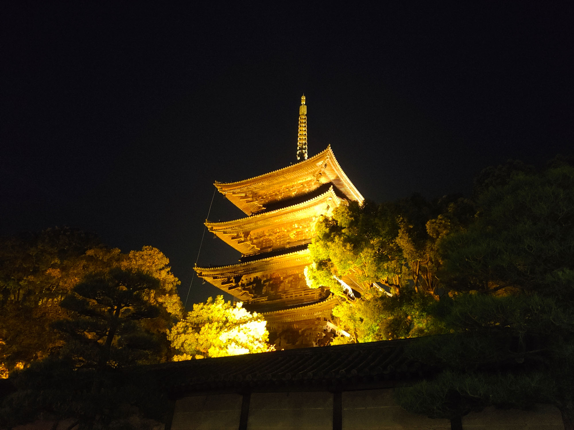 京都東寺のライトアップ