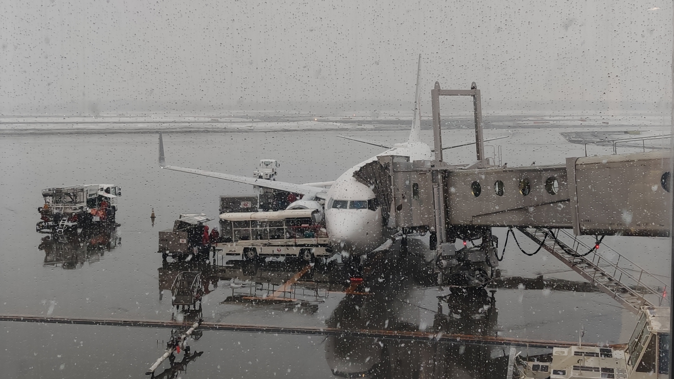 寒い雪の新千歳空港のJAL
